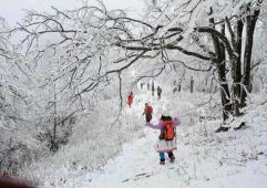 冬天到天目山观看不一样的冰雪景观