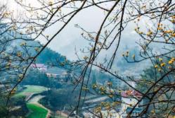 不一样的美丽峡谷村