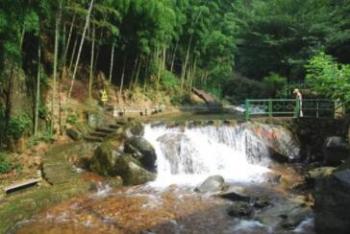 夏日在白水涧的茶道寻源之旅