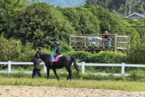 临安也有马术场啦！就在花田里