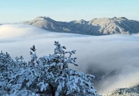 临安悄然而来的一场雪，正与冬天道别