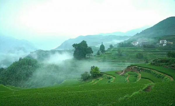 山中雨雾