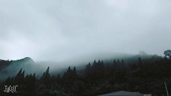 山中雨雾