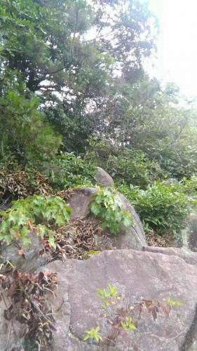 大岩石