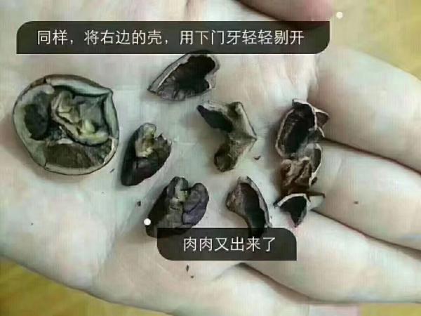 一点一点的拨开