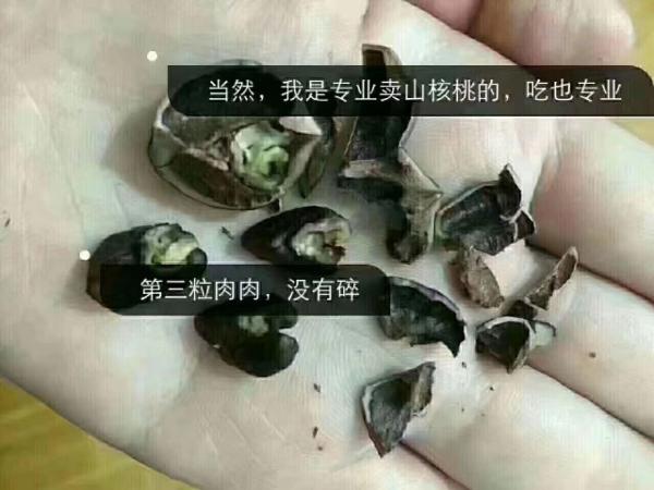 打开的核桃