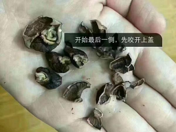 快剥好的核桃