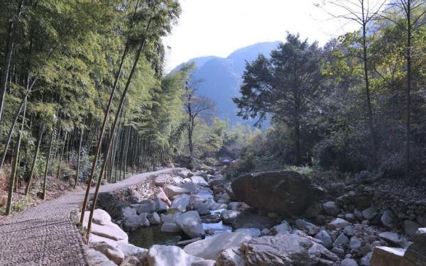 竹林石子路