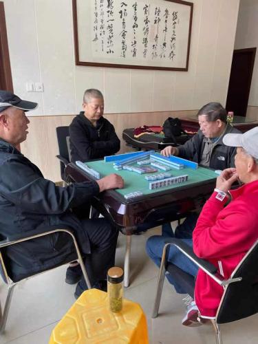 娱乐活动