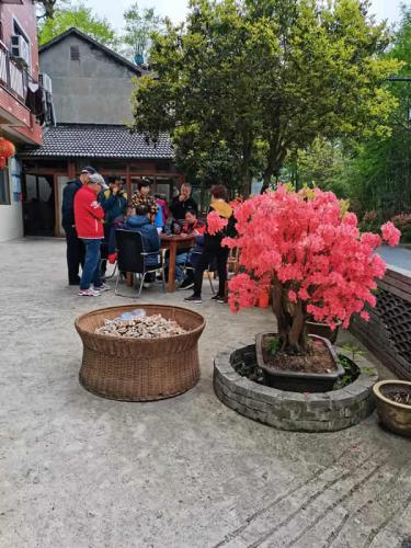 我家游客