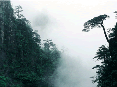 神奇的风景