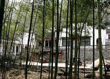 竹林