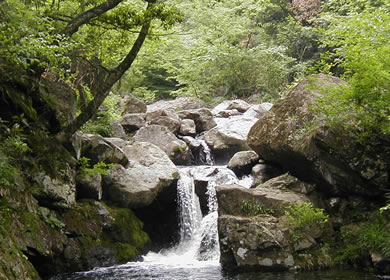 清澈的水流