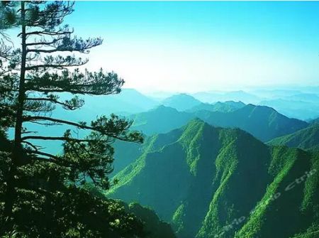 神龙川