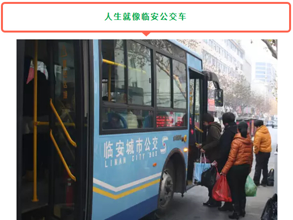 临安公交车