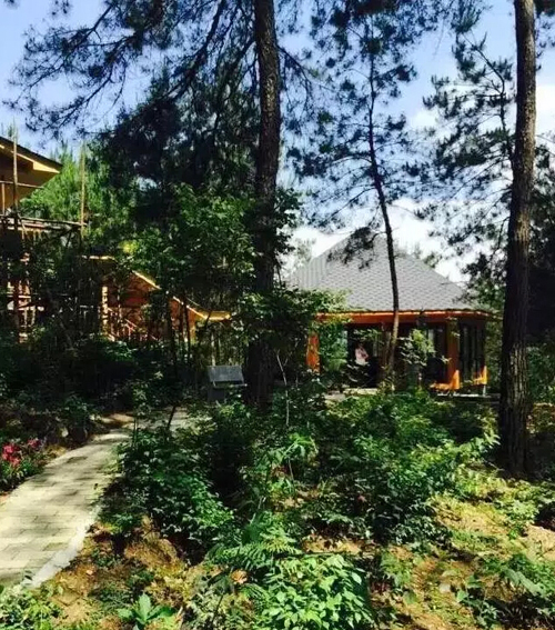 远山秘境