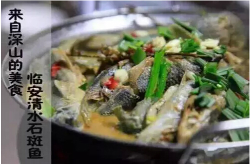 来自深山的石斑鱼