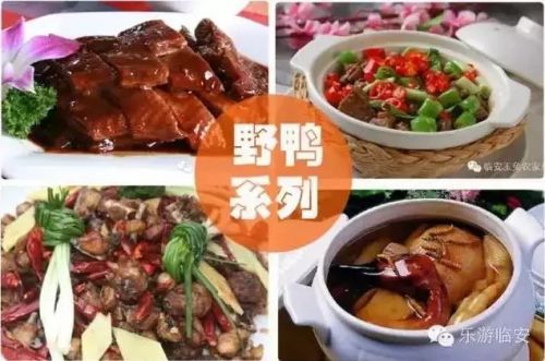 天目山食物