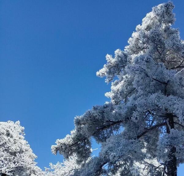 美丽的雪景