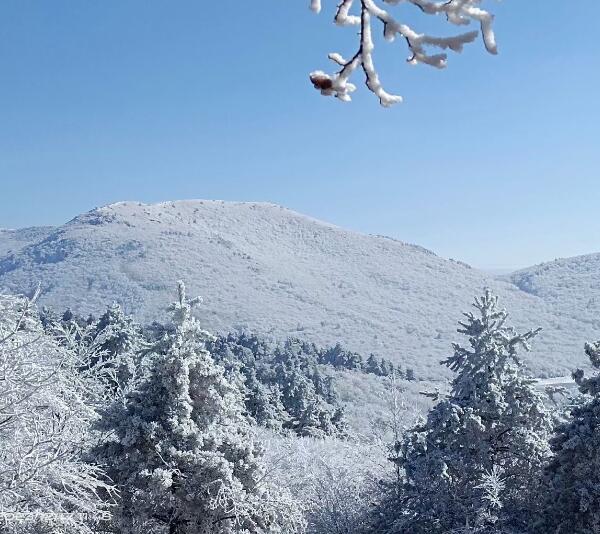 天池雪景