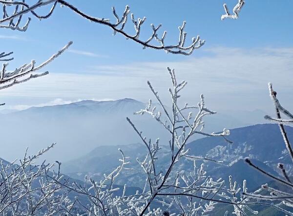 雪中山景