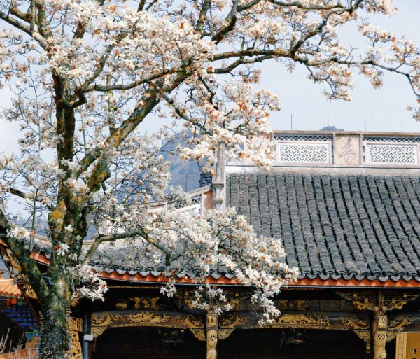 禅源寺