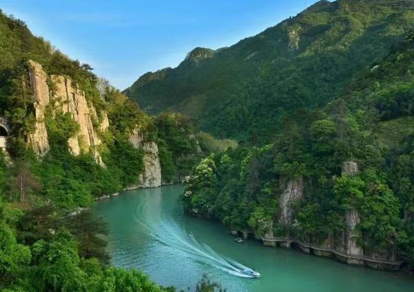 青山绿水