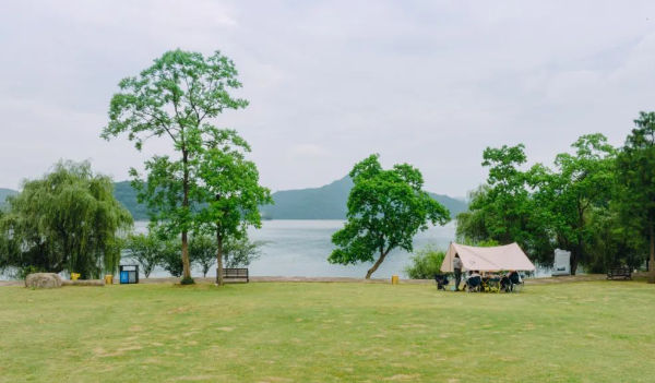 荻芦湾草坪